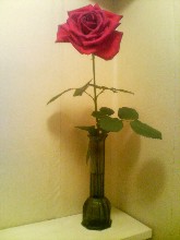 rose