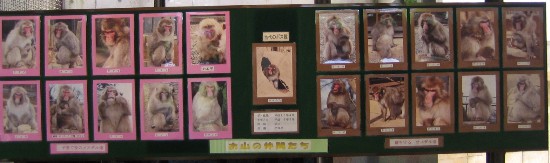高尾山さる園