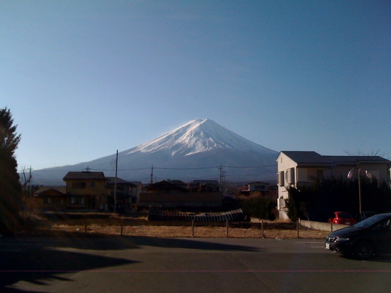 今年も宜しくお願いします 今年も宜しくお願いします