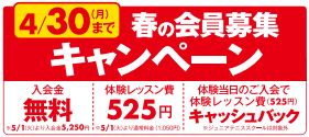 テニス！テニス！テニス！