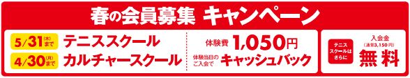 テニス始めませんか? テニス始めませんか?