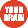 YOUR BRAIN